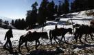 In Kufri treibt ein Mann durch frischen Schnee seine Ponys einen Hang hinauf. Mehr als 30 Menschen starben in den vergangenen 24 Stunden in Nordindien aufgrund der Kälte, zehn davon bei einem Zugunglück, das durch dichten Nebel verursacht wurde. Foto: ap