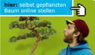 Mit I plant a tree kann man online Bäume pflanzen. Foto: i plant a tree
