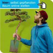 Ein Blog, ein Baum (Foto)