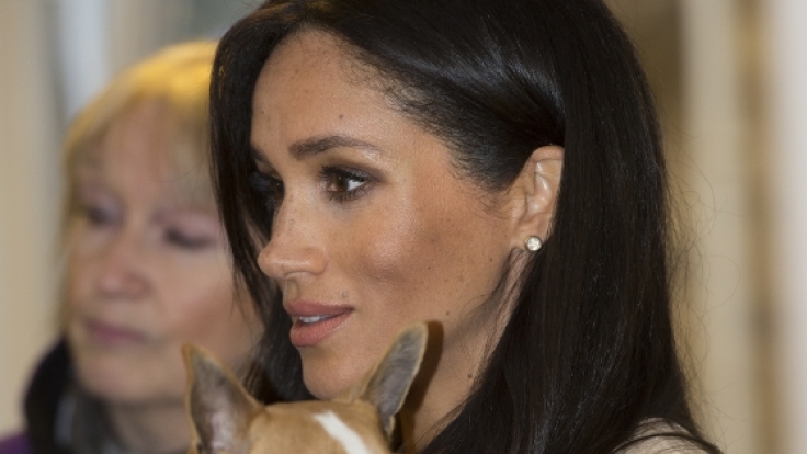 Meghan Markle hält die Jack-Russel Hündin Minnie auf dem Arm.