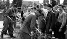 Mit Stacheldraht fing alles an: In der Nacht zum 13. August 1961 beginnen Soldaten aus der DDR, eine Grenze durch Berlin zu ziehen. Die Staatsführung will den Osten abriegeln und so den Flüchtlingsstrom in den Westen stoppen. Menschen aus West-Berlin schauen zu. Noch lachen sie.
 Foto: dapd
