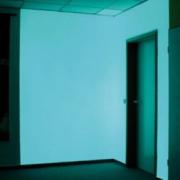 Bringt Licht ins Dunkle (Foto)