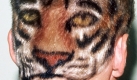 Der Fußballspieler Stefan Effenberg im Tigerlook am Hinterkopf (Archivfoto vom 19.09.1994). Für eine verlorene Wette in Thomas Gottschalks 'Wetten, daß...'-Show ließ sich Fußballstar Stefan Effenberg in der RTL-Late-Night-Show 'Gottschalk' vom englischen Punk-Friseur Collin Watkins den Hinterkopf scheren und einen Tigerkopf aufmalen. Deutsche Fußballer mit tierischen Spitznamen sind nahezu ausgestorben. dpa/lnw (zu lnw-KORR: 'Wenn der Bulle mit der Kobra... - Kaum noch Tierspitznamen im Fußball' vom 08.06.2006)
 Foto: dpa