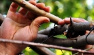  biegt sich Öff Öff sein Domizil so zurecht, wie er es gern hätte. Foto: news.de