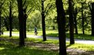 Die Sonne scheint durch die Bäume der Herrenhäuser Gärten in Hannover. Das Wetter in Norddeutschland zeigt sich recht kühl und mit einem meist bedeckten Himmel, durch den nur vereinzelt die Sonne hindurchbricht. Foto: ap
