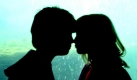 Date (Foto)