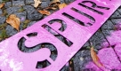 Eine Mitarbeiterin der Aktion malt vor dem Mahnmal der Opfer des Nationalsozialismus in Stuttgart mit violetter Farbe die Spur der Erinnerung auf die Straße. In Erinnerung an die Morde der Nazis vor 70 Jahren soll die violette Farbspur den Ort der Opfer in Grafeneck mit dem Ort der Schreibtischtäter in Stuttgart verbinden. Mehr als 10.600 Behinderte wurden von Nazis in Grafeneck ermordet. Foto: dpa