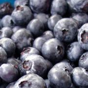 Heidebeeren kühl lagern und schnell verzehren (Foto)