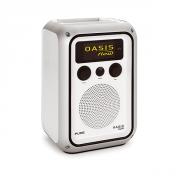 DAB-Radio für den Garten (Foto)