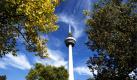 Die herbstlich verfärbten Bäume im Mannheimer Luisenpark kündigen wunderbares Wochenend- und Feiertagswetter an. Nach Angaben des Deutschen Wetterdienstes bleibt das Hoch Sepideh  wetterbestimmend. Dabei kann das Thermometer auf Rekordwerte von örtlich bis zu 29 Grad Celsius steigen. Foto: dapd