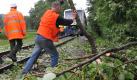 Arbeiter der Deutschen Bahn räumen in Waldkirch-Buchholz (Kreis Emmendingen) das Gleis der Elztalbahn. Eine Gewitterfront war am Mittwoch über weite Teile Deutschlands gezogen und hatte erhebliche Schäden angerichtet. Mehr dazu erfahren Sie hier. Foto: dpa