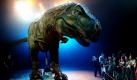 Mit offenen Mündern bestaunen Schulkinder in Sydney einen animierten Tyrannosaurus Rex, der seit Jurassic Park wohl bekannteste Dinosaurier aller Zeiten. Dieser ausgestorbene Fleischfresser gehört zu den Exportschlagern Australiens: Mit der Show Walking with Dinosaurs (Ein Spaziergang mit den Dinosauriern) machte das Land bereits 344 Millionen Australische Dollar, umgerechnet knapp 241 Millionen Euro. Foto: dapd