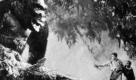 Die Schiffsbesatzung versucht die entführte Frau zu retten. Szene aus King Kong und die weiße Frau. Foto: Kinowelt