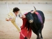 Sanfermines Pamplona stierkampf (Foto)