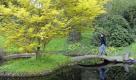 Spazieren auf einem Lehrpfad, im Park oder - wie hier - in einem Botanischen Garten. Vollkommen egal, Hauptsache grün. Foto: ddp