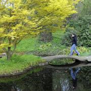 Ab in den Park (Foto)