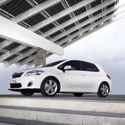 Ausgezeichneter Auris (Foto)