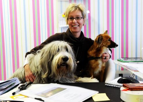 Reiseb&uuml;ro f&uuml;r Hunde (Foto)