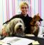 Reisebüro für Hunde (Foto)