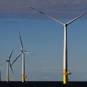 Google macht Wind (Foto)