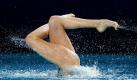 Köpfchen in das Wasser ... (Foto)