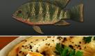 Tilapia ist ein Buntbarsch und hierzulande als Speisefisch eher unbekannt. Ursprnglich lebte dieser Fisch in Afrika und im Jordan, wird heutzutage aber hauptschlich aus Aquakulturen, also kontrollierter Aufzucht, angeboten. Foto: news.de/ Greenpeace (Montage)