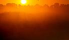 Goldene Sonne (Foto)
