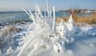 Kunstwerk aus Eis: Am Ufer des Bodensees sind Eisgebilde zu sehen, die vom Wasser eines Brunnens einstanden sind. Foto: Tobias Kleinschmidt Foto: dpa