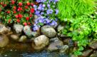 Augenscheinlich ist der Gartenteich klar und gesund. Ein Wassertest bringt noch mehr Klarheit. Foto: gardena