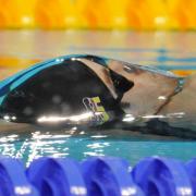 Schwimmen ist ein idealer Fatburner - und gelenkschonend.