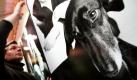 Der Fotograf Karsten Michaelis hängt in der Lagerhalle Osnabrück ein Bild seiner Ausstellung Unique Dogs - Die Osnabrücker und ihre einzigartigen Hunde an seinen Platz. Vom Samstag bis zum 24. Januar 2010 zeigt der Fotokünstler Michaelis 37 Fotografien zum Thema Hund.  Foto: dpa