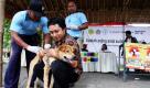 In Indonesien findet seit einem Ausbruch der Tollwut im Jahr 2008 einmal im Jahr der Tag der Tollwut statt. Im ganzen Land werden Schutzimpfungen gegen die Virusinfektion durchgeführt um einen erneuten Ausbruch zu verhindern. Foto: dapd