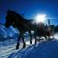 Wintertourismus
