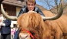 David Hasselhoff auf Ochsentour. Es war die Woche des David Hasselhoff mit lauter Fernsehauftritten und Interviews. Der US-Star arbeitet zurzeit an einem Comeback und besuchte unter anderem die TV-Talker Markus Lanz und Stefan Raab.

Am Samstagabend schließlich die Endstation der Ochsentour: der amerikanische Schauspieler zu Gast in Mozarts Geburtsstadt Salzburg, im Musikantenstadl des Schlagersängers Andy Borg. Wer neue Musik und seine Memoiren zu verkaufen hat, macht viel mit.
 Foto: dpa