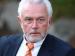 Wolfgang Kubicki  (Foto)