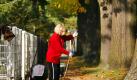 Selbst wenn das Laub aus Nachbars Garten stammt, kann man für das Zusammenharken kein Geld verlangen. (Bild: Wolfgang Kumm/dpa) Foto: dpa