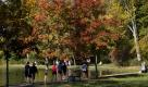 Schuelerinnen und Schueler gehen am Freitag (14.10.11) in Donaueschingen im Schlosspark unter Baeumen mit herbstlich gefaerbtem Laub. Ganz Deutschland profitiert momentan von einem 'Goldenen Oktober', es sind keine Wolken in Sicht.
Foto: Michael Latz/dapd Foto: dapd