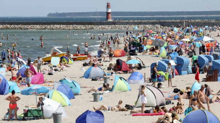 An der Ostseeküste vermehren sich im Rekordsommer 2019 fleischfressende Bakterien rasant schnell im aufgeheizten Wasser.