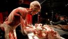 Plastinieren soll ihn dann am liebsten seine Frau Angelina Whalley, die auch bisher schon an seiner Seite arbeitet. Foto: ddp