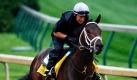 Übungsreiter Kevin Willey trainiert im Vorfeld des Kentucky Derby in Churchill Downs die Turnierhoffnung Super Saver. Foto: ap