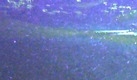 Die Piranhas dürften der Platte, im Gegensatz zum Taucher, egal sein. Nur das Wasser ist für den Speicher gefährlich. Wir können unter Laborbedingungen die Platte säubern und die Daten durch forensische Tiefenscans auslesen, Fehler beheben und die elektrischen Teile austauschen. Das kann aber dauern, da wir ein zweites Modell exakter Bauart brauchen. Das Problem:Diese Platten werden immer nur zirka drei Monate lang hergestellt. (Christian Berger, Datenklinik) Foto: Rouven/Pixelio