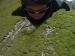Basejump (Foto)