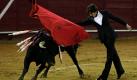 France's Sebastian Castella tritt am Abend im ecuadorianischen Qito gegen einen Stier an. Der Präsident des Landes Rafael Correa hat ein Referendum geplant, in dem es um die Meinung der Bevölkerung zur Tierquälerei zum Zweck der Unterhaltung geht. Fans des Stier- und des Hahnenkampfes haben eine Kampagne gestartet, um die Abstimmung zu stoppen, da sie ein Verbot befürchten. Foto: dapd