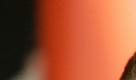 ** ARCHIV ** Der Saenger Peter Plate, links, und die Saengerin AnNa R., rechts, der Gruppe Rosenstolz sind am 1. Feb. 2007 auf dem Weg zur 42.Verleihung der Goldenen Kamera in Berlin. Ihr letztes Album knackte trotz Musikabsatz-Krise die Millionen-Marke. Mit ihrem neuen Werk 'Die Suche geht weiter' setzen Rosenstolz - Andrea Rosenbaum alias AnNa R. und Peter Plate - ihren Erfolgkurs fort. (ddp images/AP Photo/ Franka Bruns) ** ZU KORR ** --- German Singer Peter Plate, left, and AnNa R., right, of the group Rosenstolz arrives at the 42. 'Goldene Kamera' television media awards (Golden Camera) in Berlin Thursday, Feb. 1, 2007. (ddp images/AP Photo/Franka Bruns) Foto: dapd