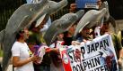 Aktivisten der philippinischen Tierrechtsorganisation PAWS demonstrieren vor der japanischen Botschaft in Pasay City südlich von Manila. Damit beteiligen sich die Protestler an der internationalen Forderung, den Fang von Walen und Delphinen in Japan zu beenden. Das Land räumt sich das Recht ein, jährlich 23.000 Delphine zu töten, um an ihr Fleisch zu gelangen. Foto: dpa