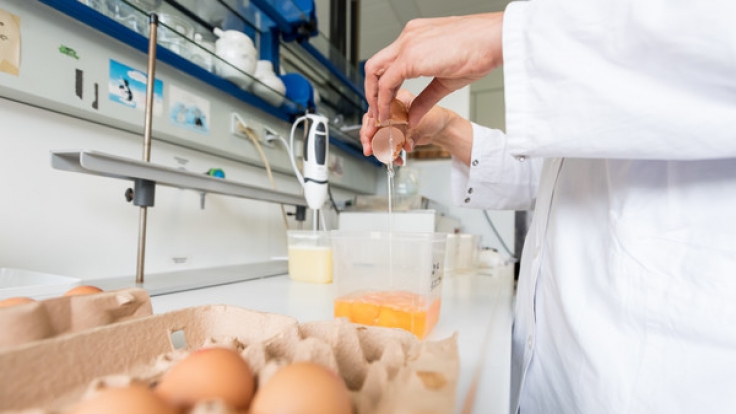 Der Lebensmittelskandal um mit Fipronil belastete Eier weitet sich aus.