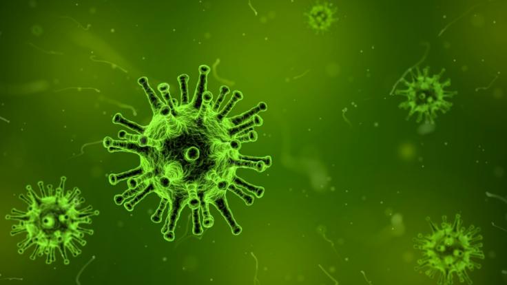 Antibiotika wirken nicht bei dem neuen Superkeim.