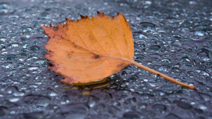 Im Oktober kehrt der Herbst mit Regen und sogar erstem Schnee ein.