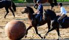 Fußball auf Pferden, oder Pushball, wie diese außergewöhnliche Sportart heißt, kann im Landgestüt Moritzburg bei Dresden bestaunt werden. Seit über 85 Jahren findet dort an drei Septembersonntagen die Hengstparade statt.  Foto: dpa