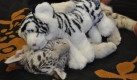 Falscher Artgenosse: Um den Tiger nicht zu vermenschlichen, will Dietmar Reisky so schnell wie mglich einen weiteren kleinen Tiger in den Ascherslebener Zoo holen - als Spielkameraden. Bis dahin muss sich das Tigermdchen mit der Plschversion zufrieden geben.  Foto: news.de